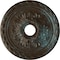 Ekena Millwork Palmetto Ceiling Medallion (Canopies up to 5"), 20 7/8"OD x 3 5/8"ID x 1 5/8"P, Bronze Blue Patina CM20PMBBS - alternate 1